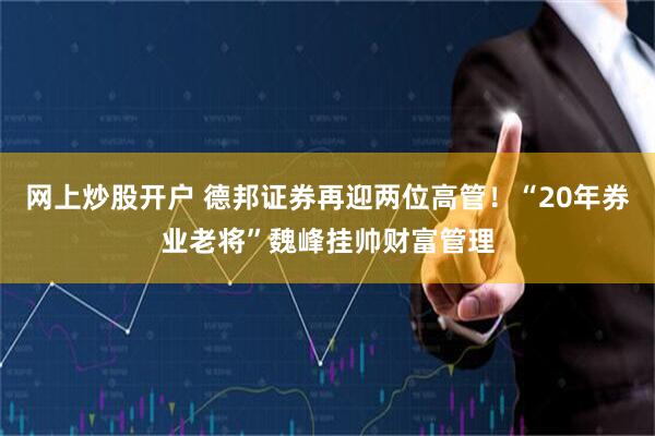 网上炒股开户 德邦证券再迎两位高管！“20年券业老将”魏峰挂帅财富管理